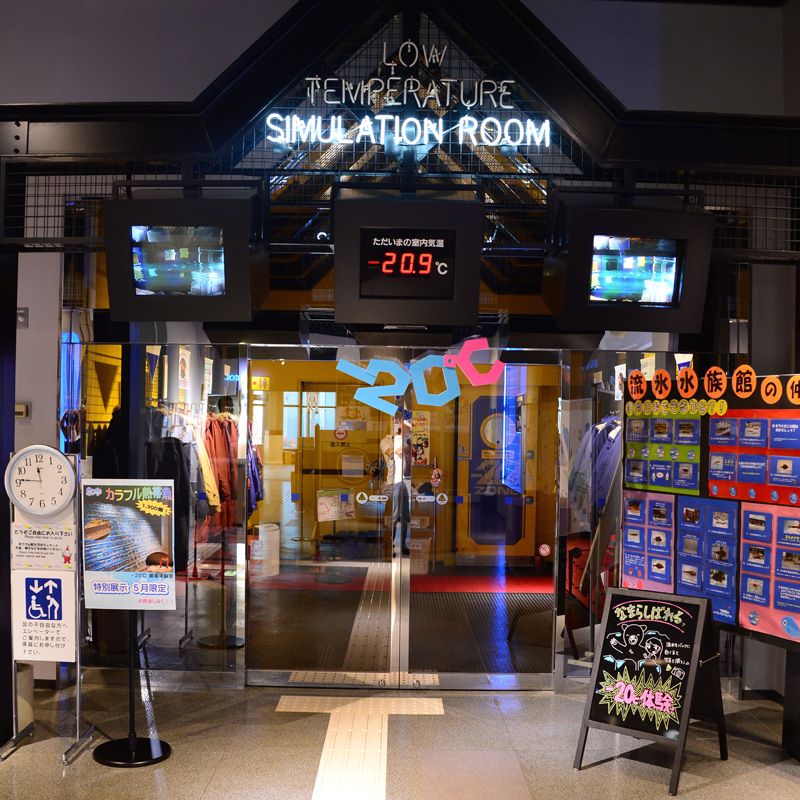 trải nghiệm cái lạnh -20 độ C 